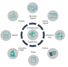 Diagram of entrepreneurial ecosystem framework